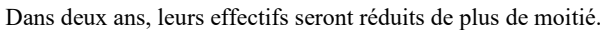 Extrait de News Day FR : La réforme de la justice fait souffler une vague d’inquiétude dans les tribunaux.